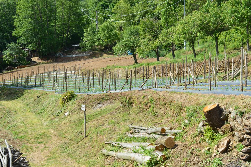 Agriturismo E Turre Serrastretta Екстериор снимка